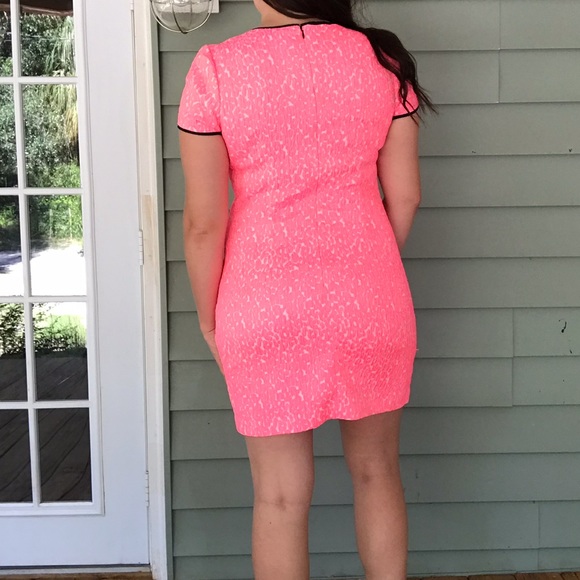 Banana Republic Hot Pink Leopard Print Dress - Picture 3 of 8